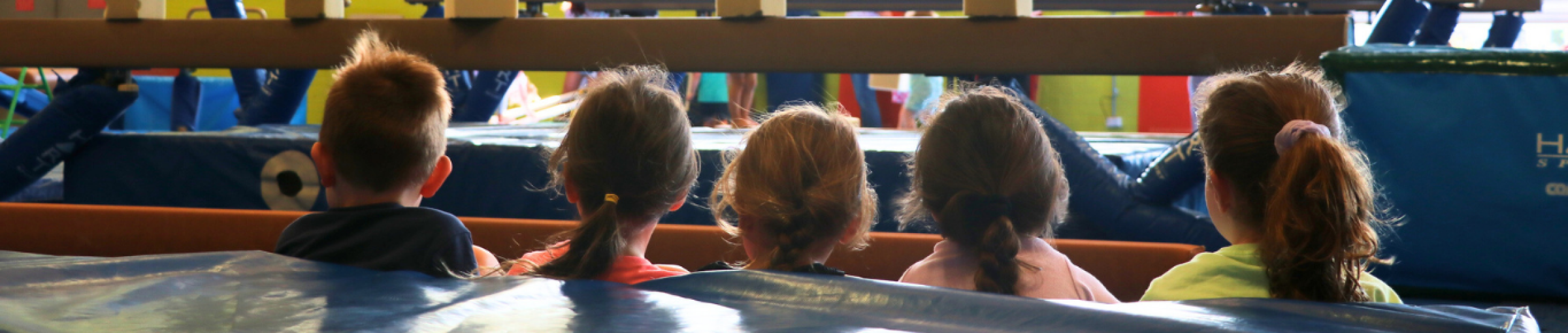 Gymnastics Birthday Party at FDLC