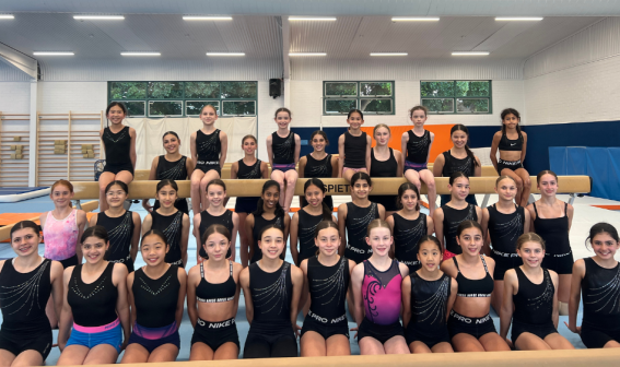 Gymnastics NSW Awards Finalists