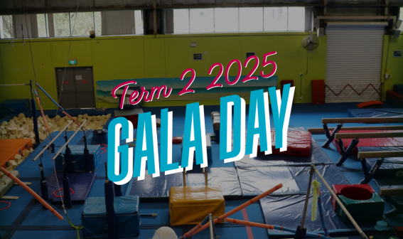 Gymnastics at Five Dock Gala Day