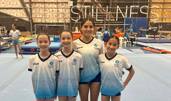 Gymnastics preparing for championships