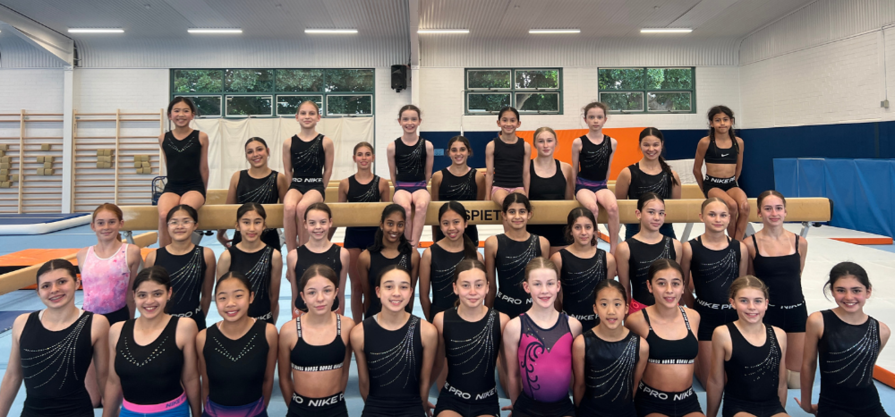 Gymnastics NSW Awards Finalists